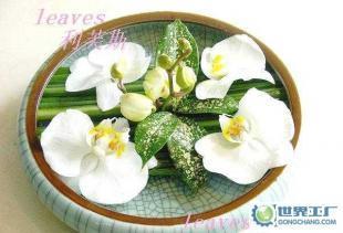 礼品花卉销售 鲜花、观叶植物与绿化租赁服务的综合解决方案