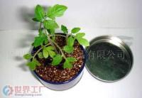 福州统领文具礼品丫丫小花园 高品质礼品花卉销售专家