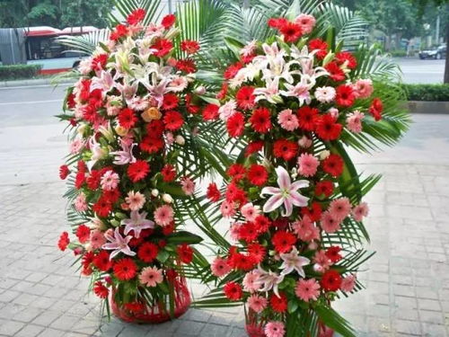 七夕玫瑰之约 128元，赠你不期而遇的浪漫与惊喜