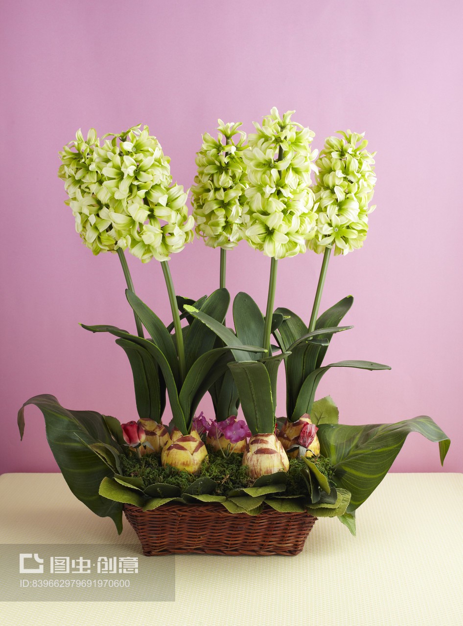 美丽的仿真花插花艺术与绣球花礼品花卉销售